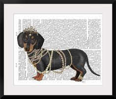 a dachshund dog with pearls on it's collar