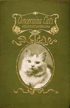 the front cover of a book with a cat in it's center and an ornate frame