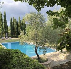 an outdoor swimming pool surrounded by trees and bushes