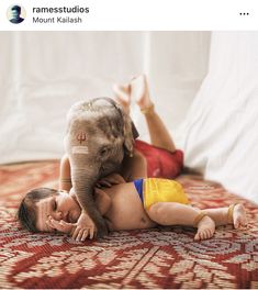 an elephant is playing with a baby on the floor