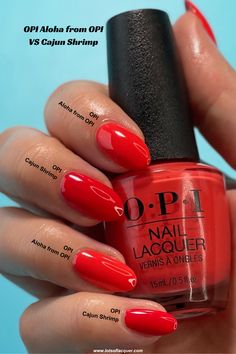 Opi Aloha From Opi, I Eat Mainly Lobster Opi, Best Red Nail Polish For Summer, My Chihuahua Doesnt Bites Opi, We Seafood And Eat It Opi, Cajun Shrimp Opi Dip, Red Nails For Summer 2024, Cajun Red Nails, Opi Orange Red Nail Polish