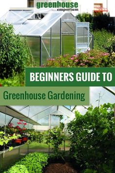 the beginner's guide to greenhouse gardening