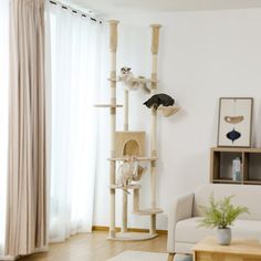 a cat tree in the corner of a living room