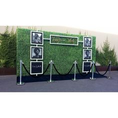 a green wall with black and white pictures on it's sides, surrounded by rope