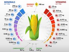 Vitamins and minerals of corn cob royalty free illustration Take Your Vitamins, Mineral Nutrition, Corn Cob, Turmeric Benefits, Corn On Cob, Natural Vitamins, Healthy Food Choices, Maize