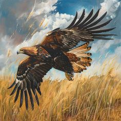 Wedge Tailed Eagle Endangered: Unleash Creativity with Flora & Fauna Wedge Tailed Eagle, Eagle Drawing, Visual Poetry, Nature Images, Painting Projects