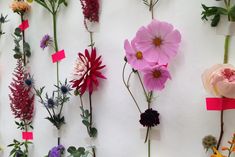 several different types of flowers are arranged on a wall