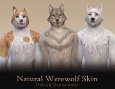 three different colored cats standing next to each other with the words natural werewolf skin