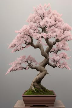 a bonsai tree with pink flowers in a pot