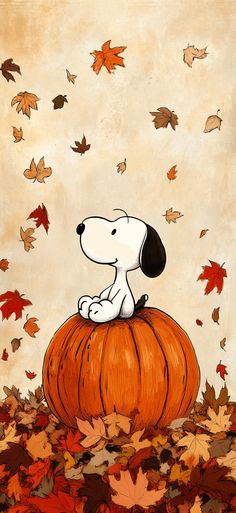 a dog is sitting on top of a pumpkin surrounded by leaves and falling from the sky