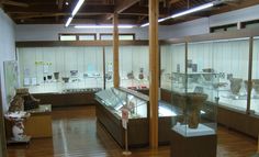 a museum filled with lots of glass cases