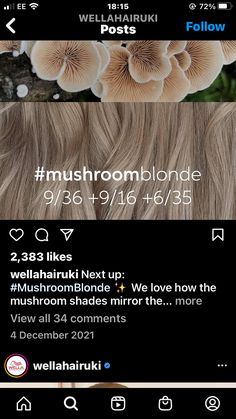 Beige Blonde Formula Wella, Wella Dark Blonde Hair Formula, Mushroom Blonde Wella, Hair Color Formulas Wella, Mushroom Blonde Formula, Wella Color Touch Formulas Blonde, Wella Shinefinity, Wella Colour Touch