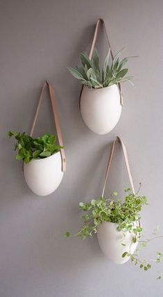 three hanging planters on the wall with plants in them and one is holding a potted plant