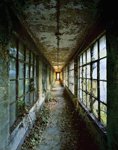 an old abandoned building with lots of windows and plants growing on the walls in it