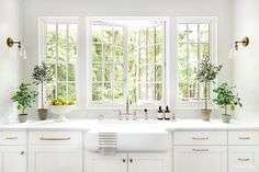 a kitchen filled with lots of white counter top space next to two windows and potted plants