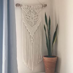 a potted plant sitting next to a macrame wall hanging