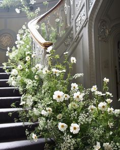 some white flowers are growing on the stairs