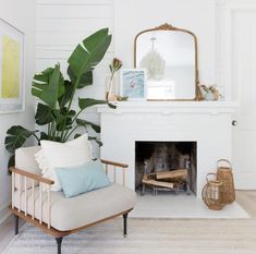 a living room with a white fireplace and large green leafy plant in the corner