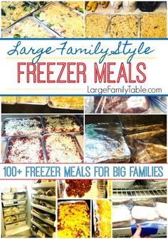 freezer meals that are ready to be eaten and put in the fridge for dinner