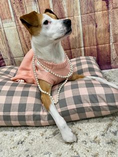 a dog wearing a pink sweater and pearl necklace sitting on a checkerboard pillow