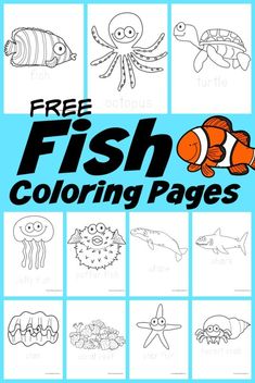 the free fish coloring pages for kids to color and learn how to draw them with their hands