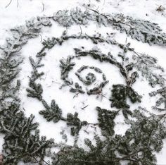 an image of a spiral made out of plants in the snow with leaves on it