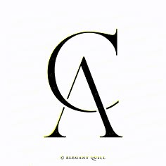 the letter q is made up of black and white letters, with an elegant font style