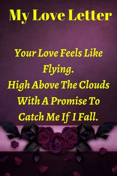 a purple background with roses and text that says, my love letter your love feels like flying high above the clouds with a prom to catch me if i fall