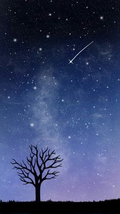 the night sky is filled with stars and a lone tree