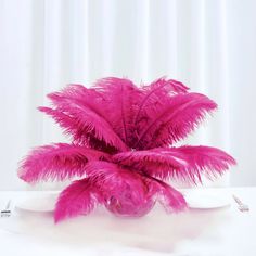 12 Pack | 13-15inch Fuchsia Natural Plume Real Ostrich Feathers, DIY Centerpiece Fillers Flamingo Centerpiece, Centerpiece Filler, Feathers Diy, Eiffel Tower Centerpiece, Feather Arrangements, Ostrich Feather Centerpieces, Flamingo Craft, Diy Centerpiece, Feather Centerpieces