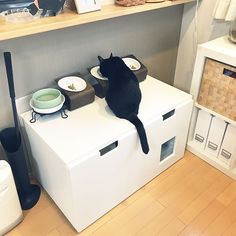 a black cat sitting on top of a white box in the middle of a room