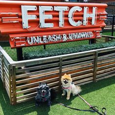 two dogs are sitting in front of a sign that reads fetch, unleash and unwind