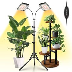 two plants are sitting on top of a stand next to a lamp and some lights