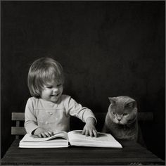 from a series by Russian photographer Andy Prokh Girl Reading Book, Kitten Drawing, Cat Stories, Animal Companions, Jolie Photo, The Funny, All About Cats, Funny Animal Pictures