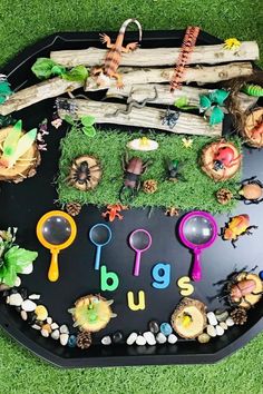 a black tray filled with lots of different types of plants and letters that spell out the word bug