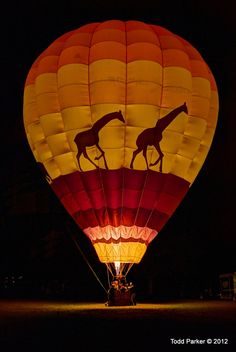 a hot air balloon with two giraffes on it