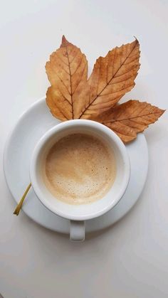 a cup of coffee on a saucer next to a leaf