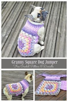 a small dog wearing a crochet granny square dog jumper in purple and yellow