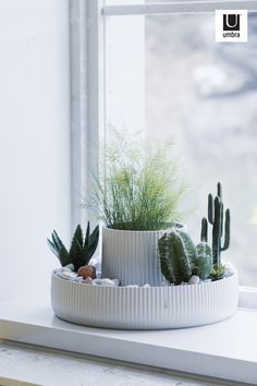 three potted plants sitting on top of a window sill next to a window