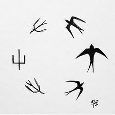 birds flying in the air with numbers written below them on a sheet of white paper