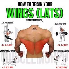 an image of how to train your wings with the text,'how to train your wings