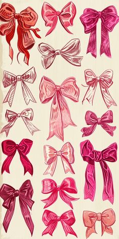 a bunch of different types of bows on a white background with red and pink colors