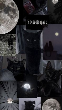 a collage of black cats and the moon with their faces lit up in different ways