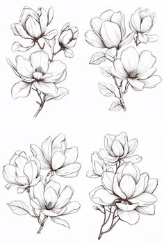 four different types of flowers are shown in black and white