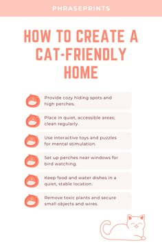 an info sheet describing how to create a cat - friendly home