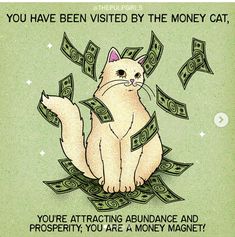 a cat sitting on top of money with the caption you have visited by the money cat