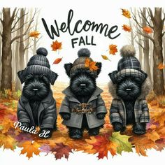 three black dogs are sitting in the fall leaves and wearing coats that say welcome fall