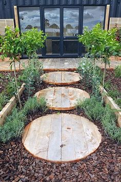 the garden is made out of wood and has plants growing in it