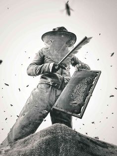 black and white photograph of a man holding a beehive with bees flying around