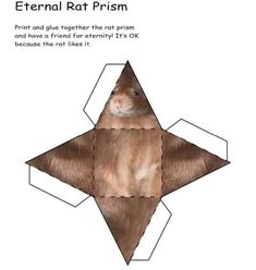 an animal that is cut out into the shape of a star with text underneath it